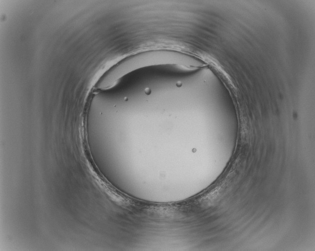 X0000073711040200608311749