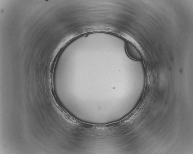 X0000073711043200608311749