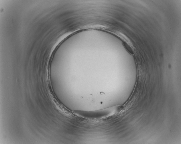 X0000073711044200608311749