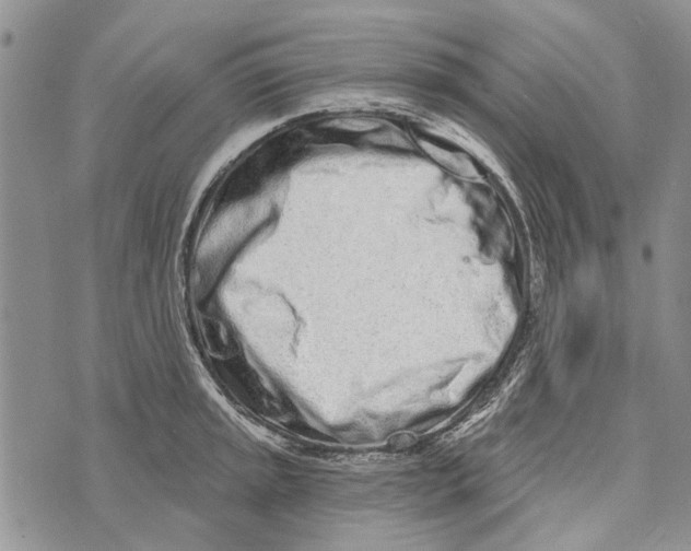 X0000073711045200608311750