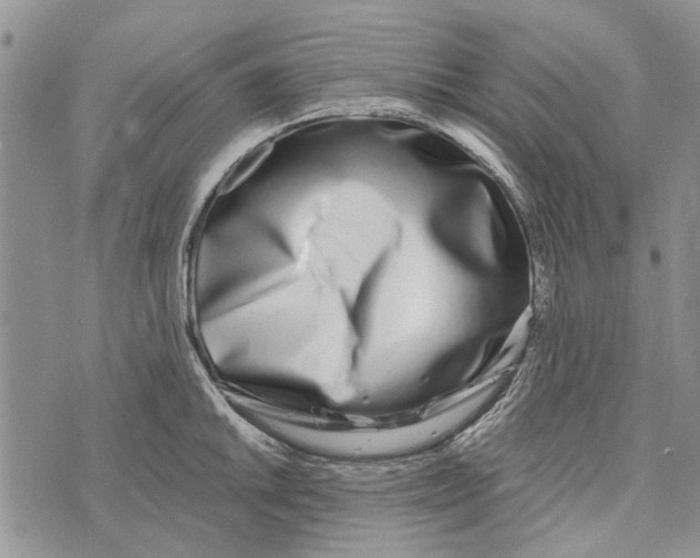 X0000073711046200608311750