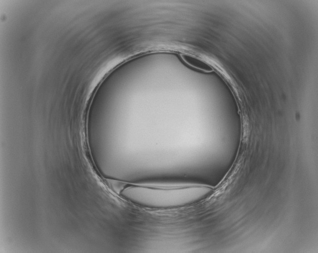 X0000073711048200608311750