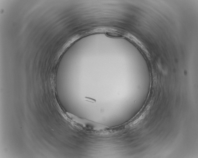 X0000073711049200608311750