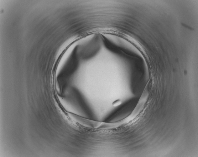 X0000073711050200608311750