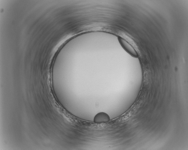 X0000073711051200608311750