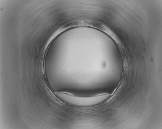 X0000073711052200608311750