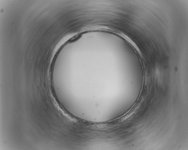 X0000073711053200608311750