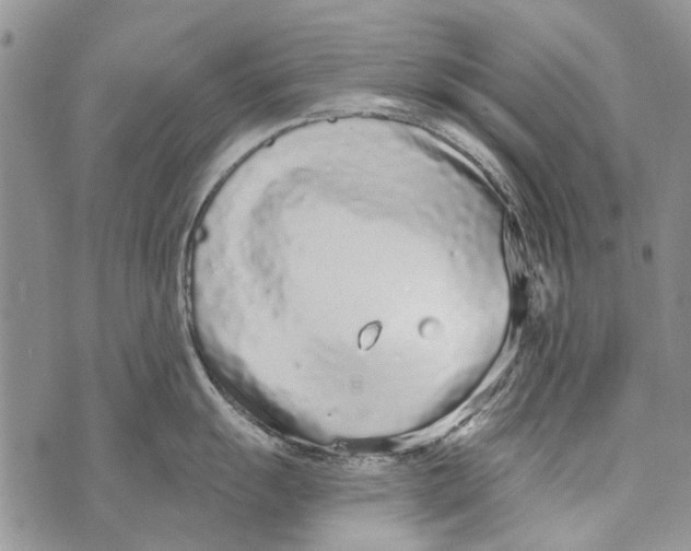 X0000073711055200608311750