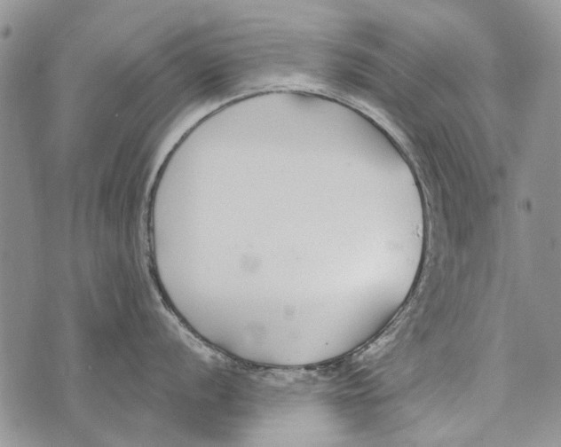 X0000073711056200608311750