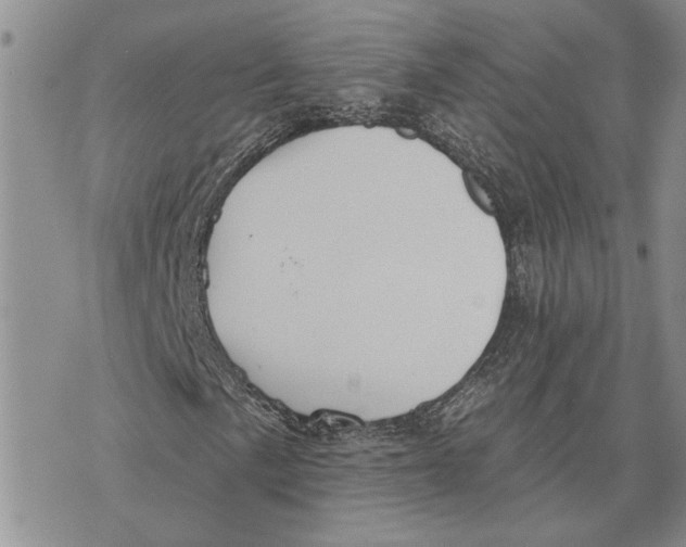 X0000073711057200608311749