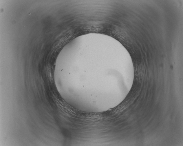 X0000073711058200608311749