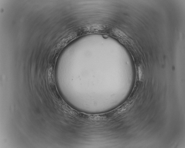 X0000073711059200608311749