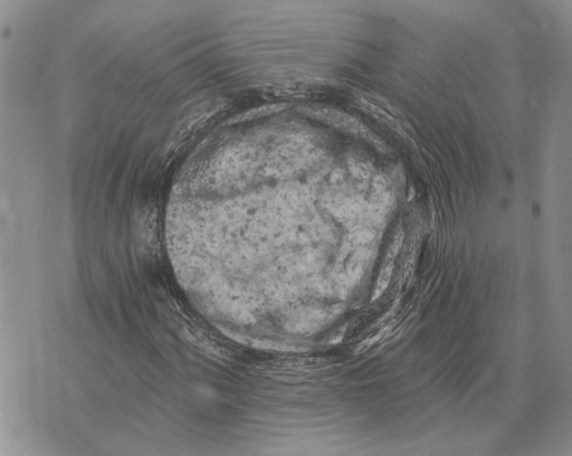 X0000073711060200608311749