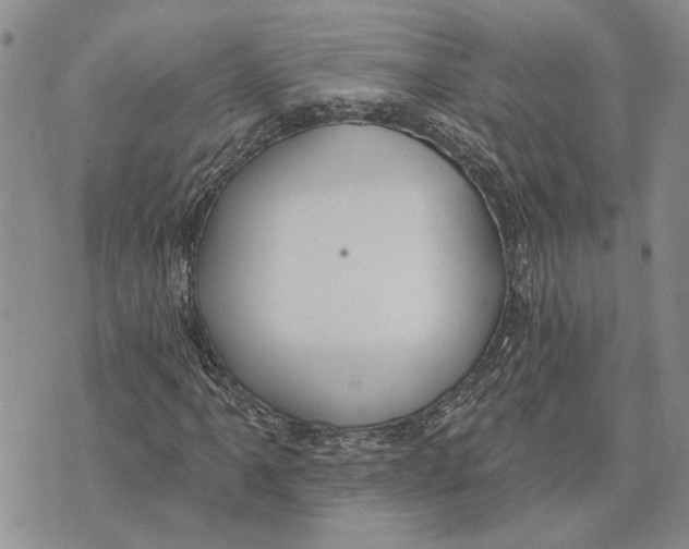 X0000073711061200608311749