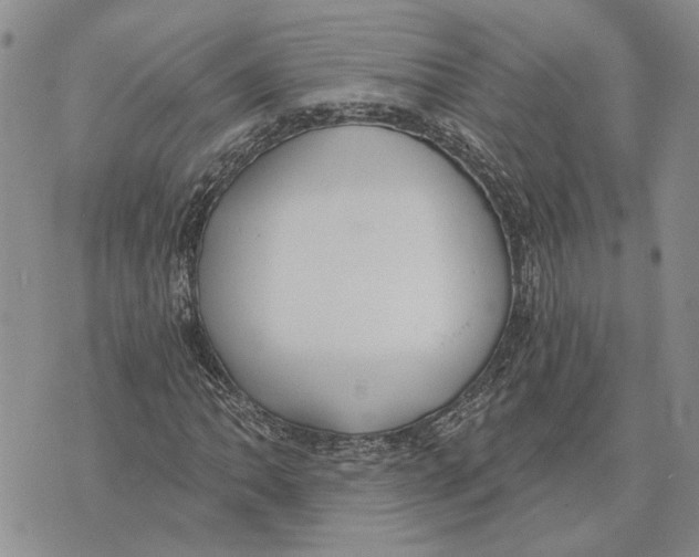 X0000073711062200608311749