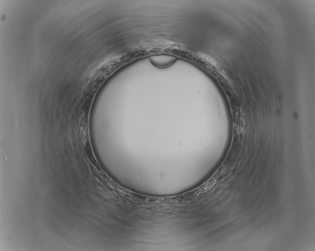 X0000073711063200608311749