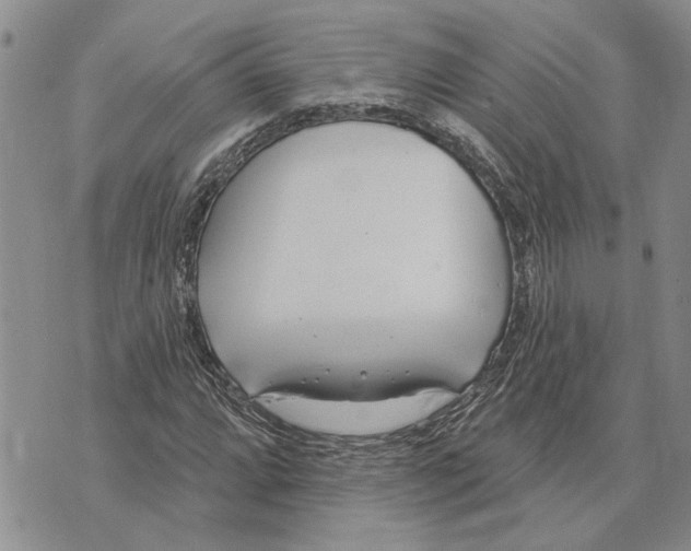 X0000073711064200608311749