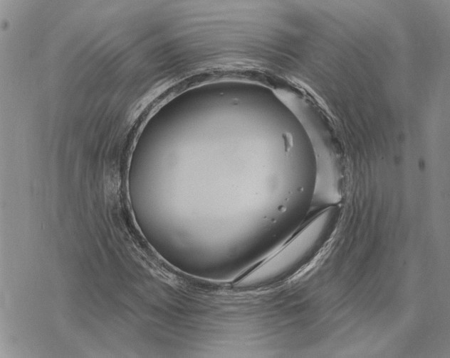 X0000073711065200608311749