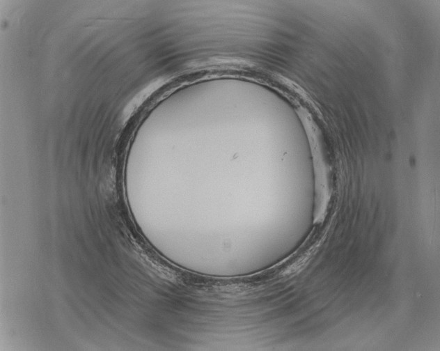 X0000073711066200608311749