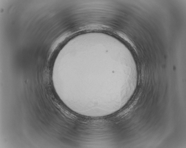 X0000073711067200608311749