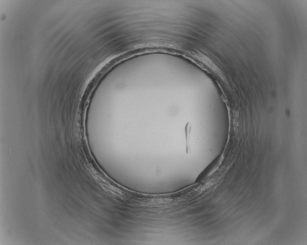 X0000073711068200608311749