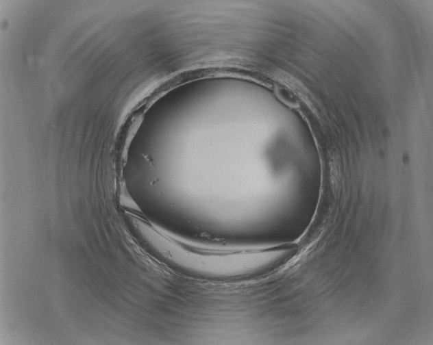 X0000073711069200608311749