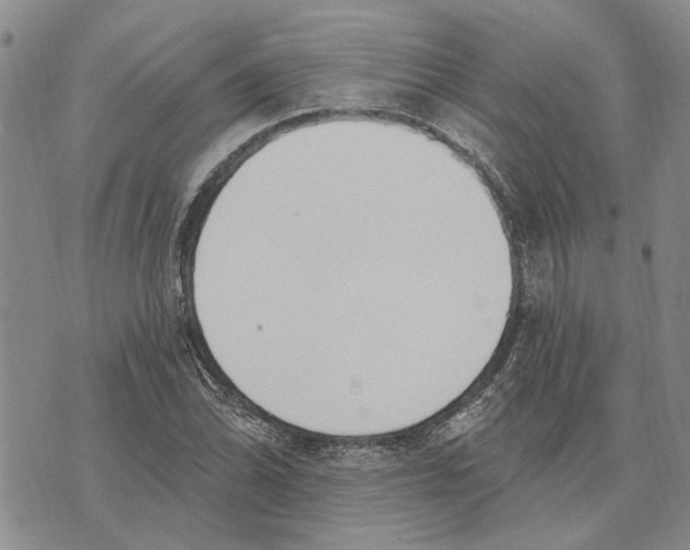 X0000073711070200608311749