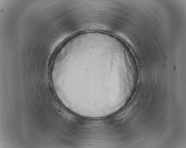 X0000073711071200608311749