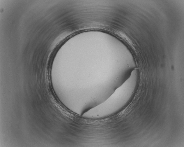 X0000073711072200608311749