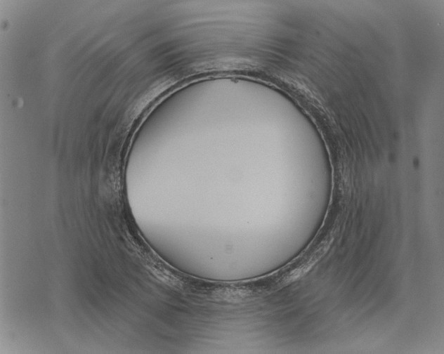 X0000073711073200608311749