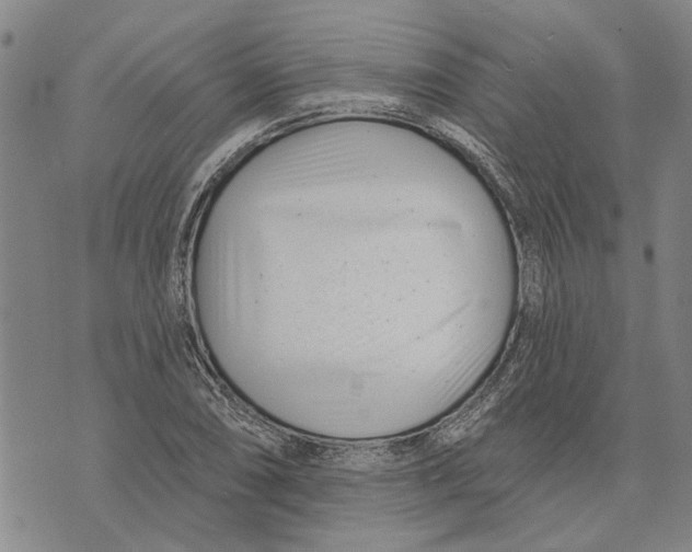 X0000073711074200608311749