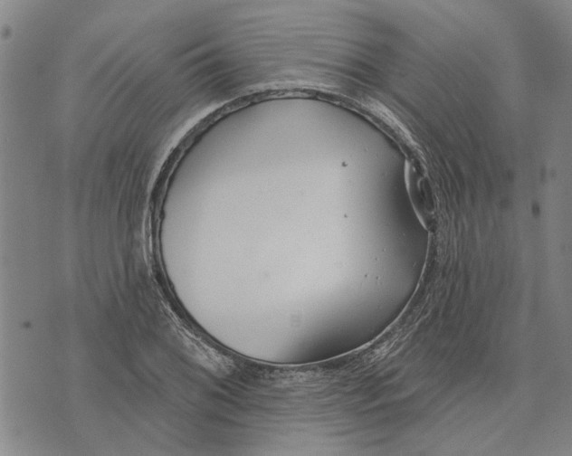 X0000073711076200608311749