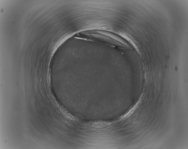 X0000073711077200608311749