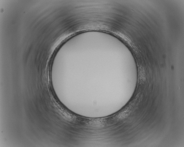 X0000073711078200608311749