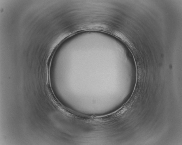 X0000073711079200608311749