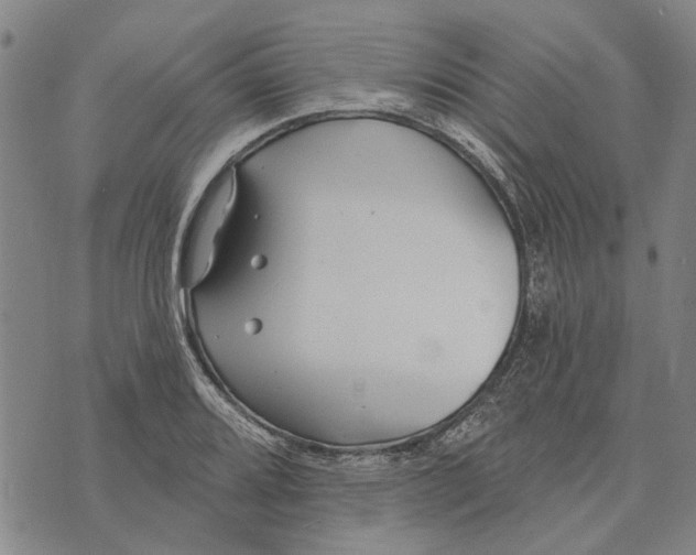 X0000073711080200608311749