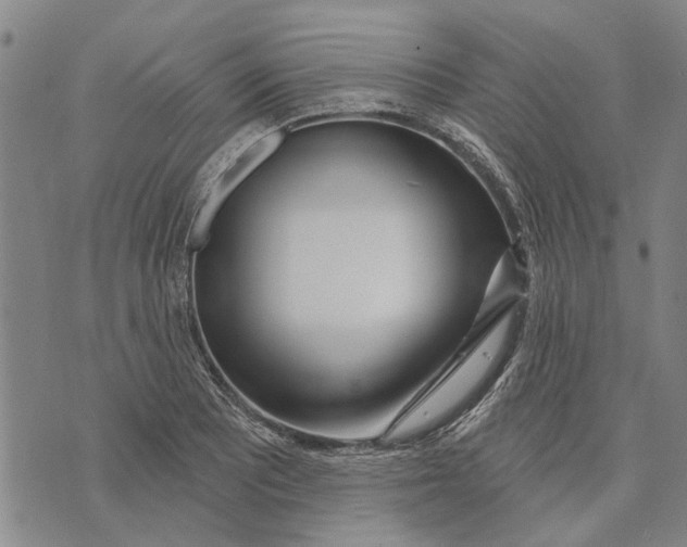 X0000073711081200608311749