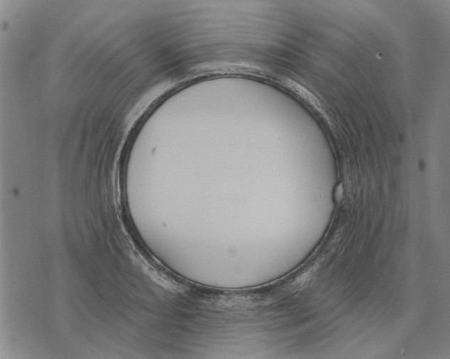 X0000073711082200608311749