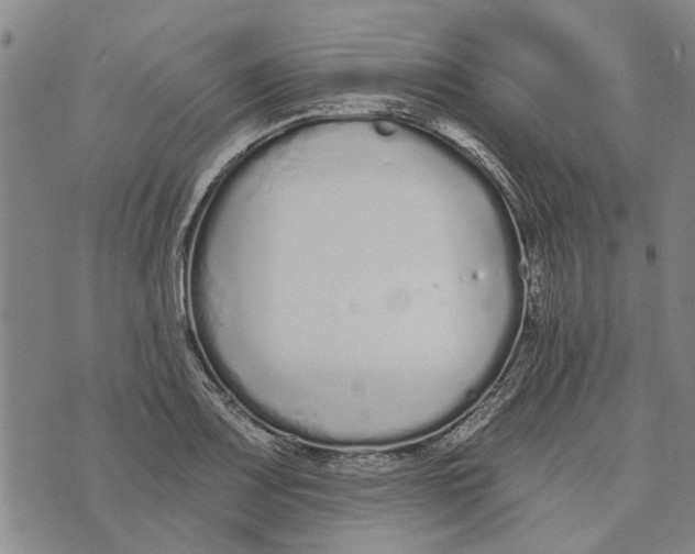 X0000073711083200608311748