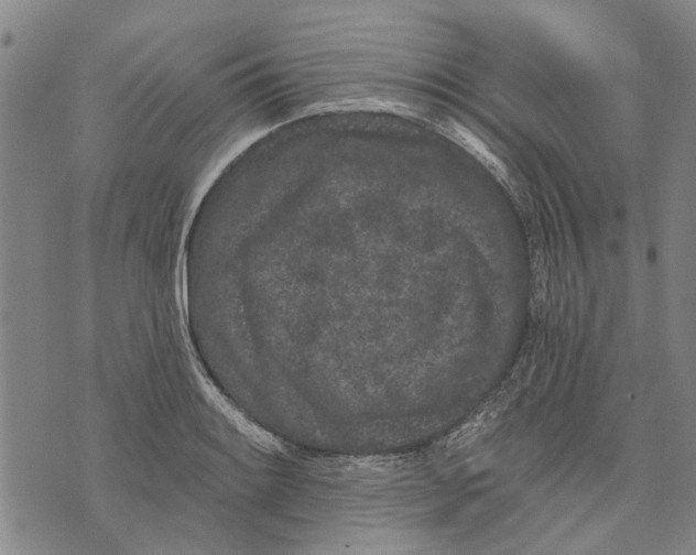 X0000073711084200608311748