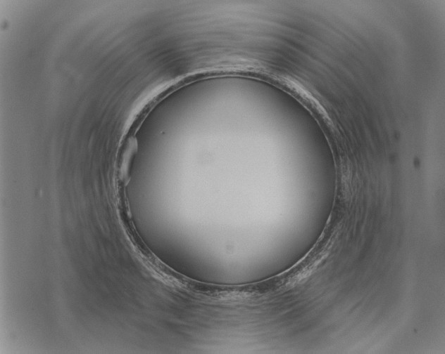 X0000073711085200608311748