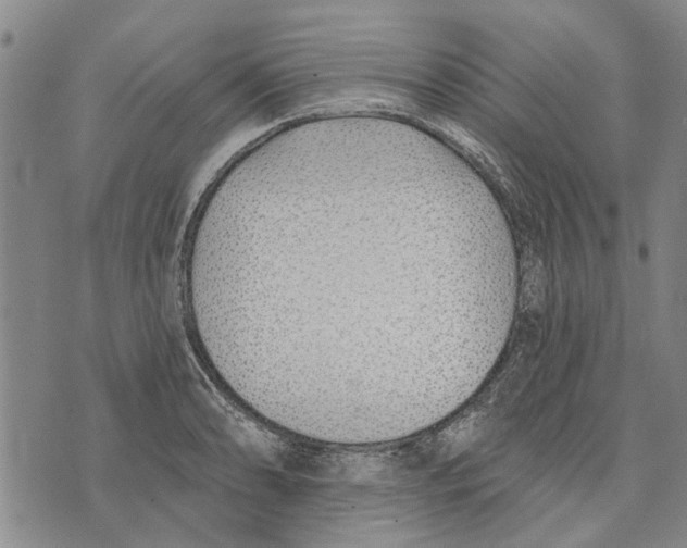 X0000073711086200608311748