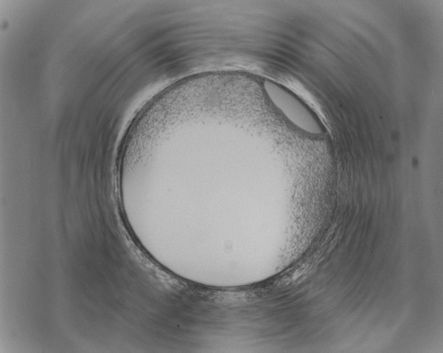 X0000073711088200608311748