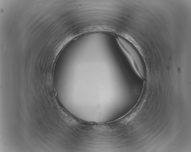 X0000073711089200608311748