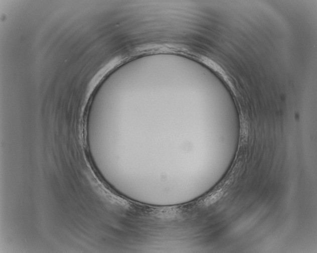 X0000073711090200608311748