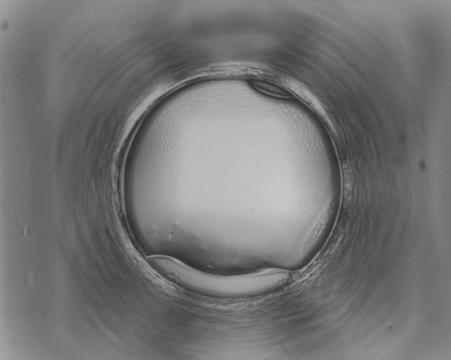 X0000073711091200608311748