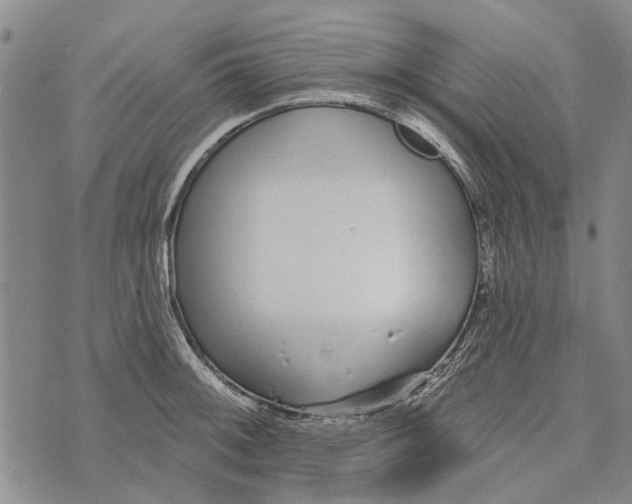 X0000073711092200608311748