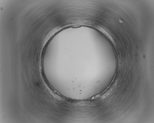 X0000073711093200608311748