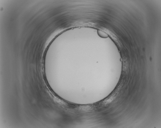 X0000073711094200608311748