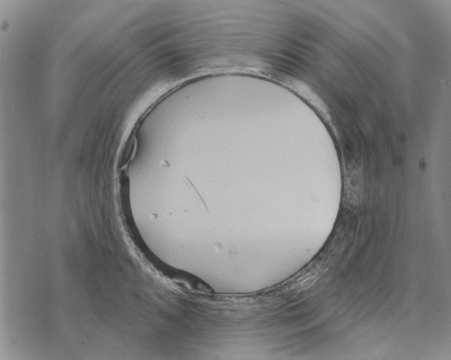 X0000073711096200608311748